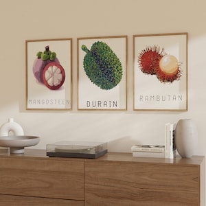 Conjunto de 3 arte de parede de frutas tailandesas, decoração de frutas tailandesas, arte para impressão, arte de parede, amor, decoração de quarto, ideias para presentes, estilo minimalista