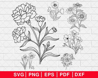May include: A set of six black and white line drawings of various flowers. The flowers include carnations, daisies, roses, and poppies.