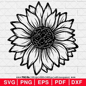 May include: A black and white line drawing of a sunflower with a large center and many petals.