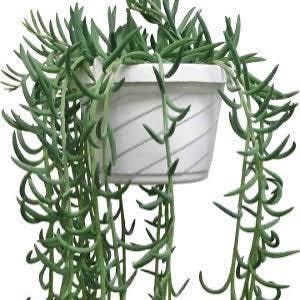 May include: A set of three ceramic mugs with a speckled, matte finish. Each mug features a different color: light blue, cream, and gray. The mugs have a simple, modern design and a comfortable handle.
