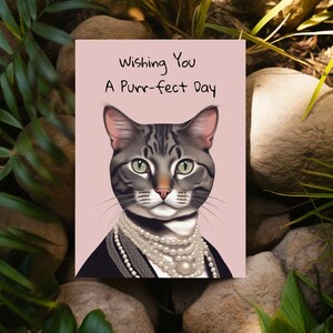 Carte postale chat chic - chats illustrés dans des vêtements élégants| Cartes d'anniversaire, de fête, de voeux| Amoureux des chats mignons et originaux| Carte de Noël