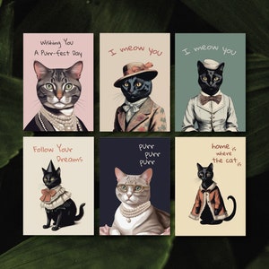 6 cartes postales chat chic - chats illustrés dans des vêtements élégants| Cartes d'anniversaire, de fête, de voeux| Amoureux des chats mignons et originaux| Cadeau de Noël