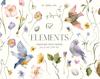 May include: Watercolor illustration of 62 forest elements, including birds, flowers, leaves, and a nest. The illustration is in a light, whimsical style and features a variety of colors, including blue, green, yellow, and pink.