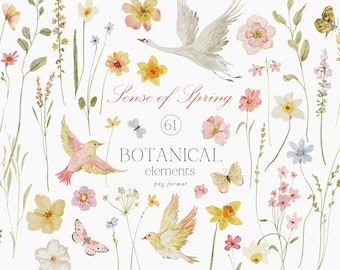 Elementos de clipart de flores silvestres de primavera en acuarela, flores pequeñas, flores botánicas, mariposas y pájaros de pradera primaveral, invitación de boda, baby shower