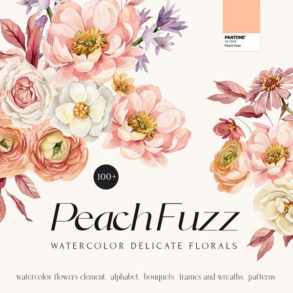 Peach Fuzz Florals Watercolor Clipart Pink Floral Bouquets Delicate Spring Flowers Wreath Wedding Invite Card Alphabet Seamless Patterns