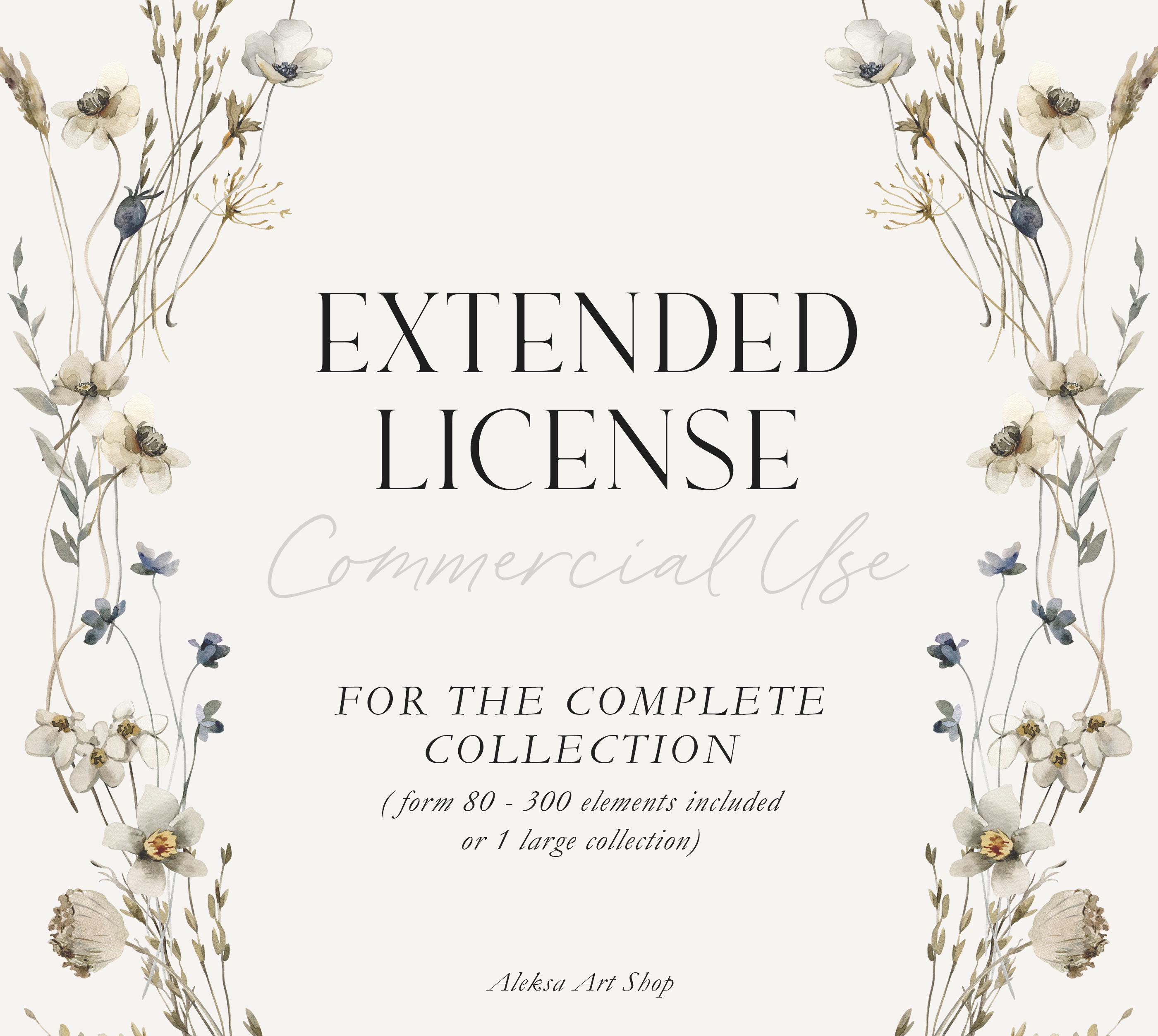 Extended License - Form 80 - 300 Elements Included or for 1 Large ...