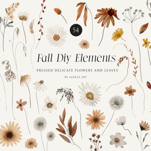 Aquarelle fleurs sauvages automne saison des cliparts minuscules fleurs pressées feuilles d'automne fleurs prairie feuillage automne illustration sublimation png