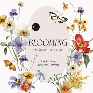Printemps fleurs sauvages Clipart aquarelle petites fleurs bordure transparente motif mariage carte d'invitation couronne été cadre Png papillons