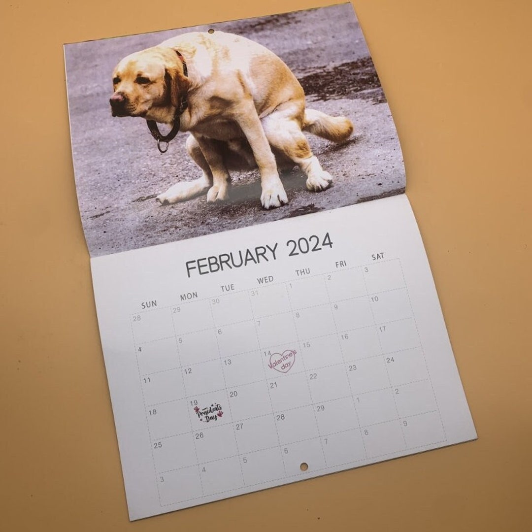 2024 Pooping Pooches Dog Calendarwall Calendar Calendar Etsy