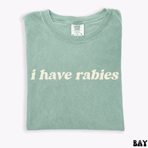 I Have Rabies Comfort Colors Funny Tee, Unhinged Meme Tshirt, Grunge Y2k Clothing, Weird Dark Humor Tee, Unique Gift for Friend image 6