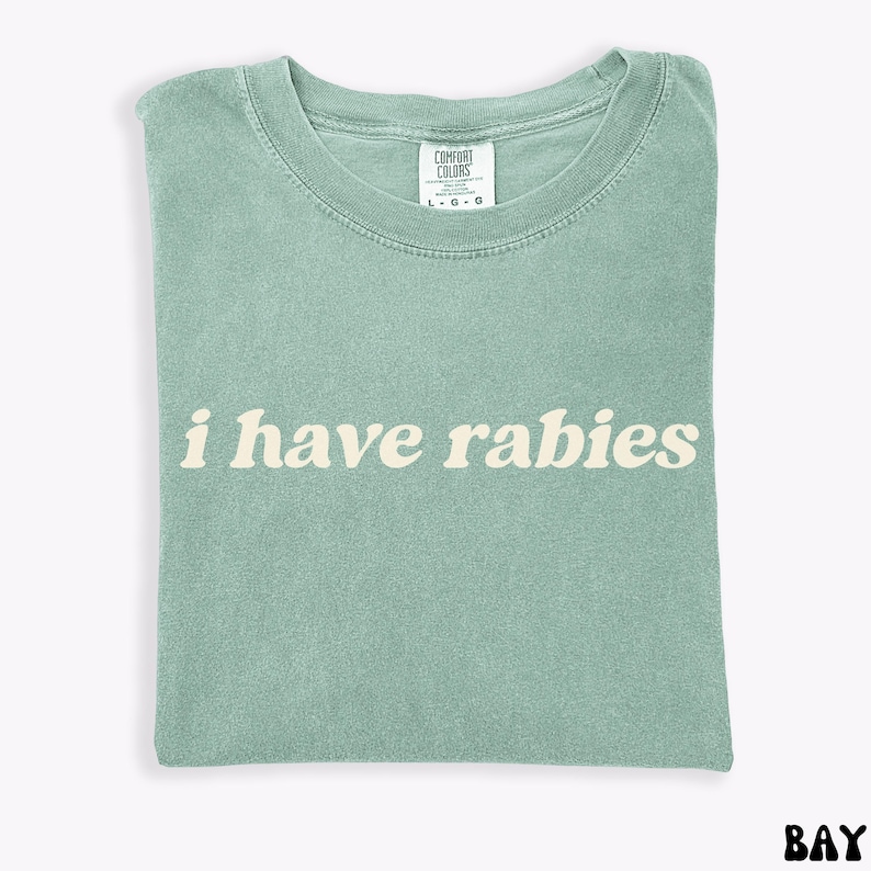 I Have Rabies Comfort Colors Funny Tee, Unhinged Meme Tshirt, Grunge Y2k Clothing, Weird Dark Humor Tee, Unique Gift for Friend image 6