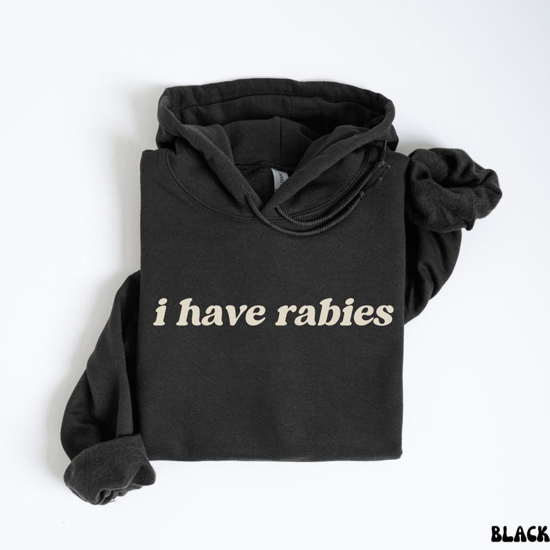 I Have Rabies Funny Hoodie, Unhinged Meme Sweatshirt, Grunge Y2k Clothing, Weird Dark Humor Tee, Sweatshirt Gift for Friend/ Sister image 1