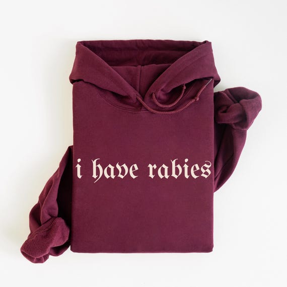 I Have Rabies Funny Hoodie, Unhinged Meme Sweatshirt, Grunge Y2k Clothing, Weird Dark Humor Tee, Sweatshirt Gift for Friend/ Sister