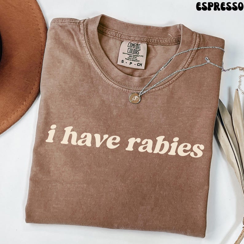 I Have Rabies Comfort Colors Funny Tee, Unhinged Meme Tshirt, Grunge Y2k Clothing, Weird Dark Humor Tee, Unique Gift for Friend image 3