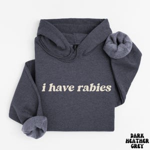 I Have Rabies Funny Hoodie, Unhinged Meme Sweatshirt, Grunge Y2k Clothing, Weird Dark Humor Tee, Sweatshirt Gift for Friend/ Sister image 6