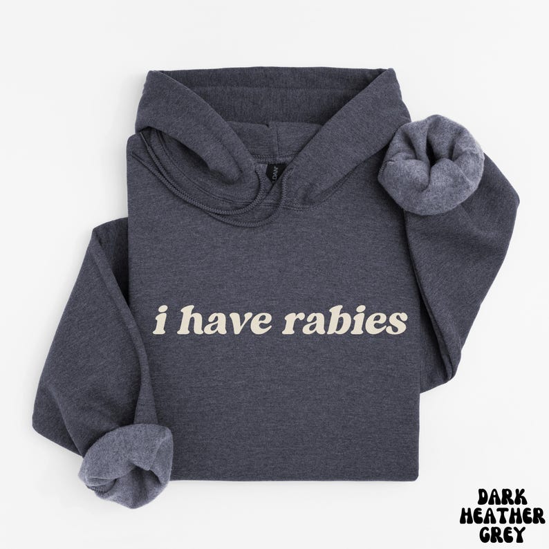 I Have Rabies Funny Hoodie, Unhinged Meme Sweatshirt, Grunge Y2k Clothing, Weird Dark Humor Tee, Sweatshirt Gift for Friend/ Sister image 6
