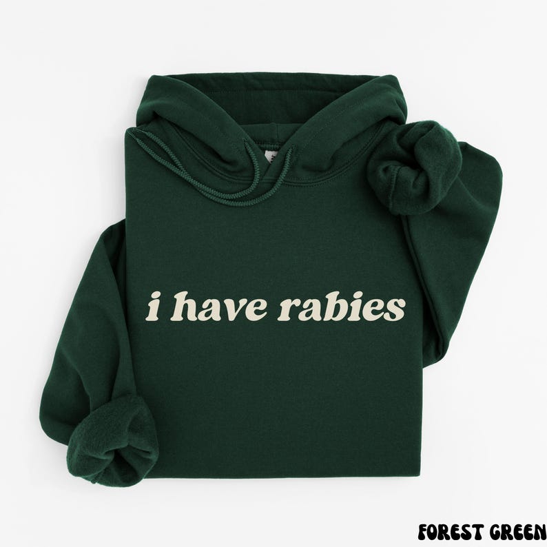 I Have Rabies Funny Hoodie, Unhinged Meme Sweatshirt, Grunge Y2k Clothing, Weird Dark Humor Tee, Sweatshirt Gift for Friend/ Sister image 4