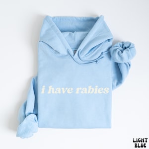 I Have Rabies Funny Hoodie, Unhinged Meme Sweatshirt, Grunge Y2k Clothing, Weird Dark Humor Tee, Sweatshirt Gift for Friend/ Sister image 5