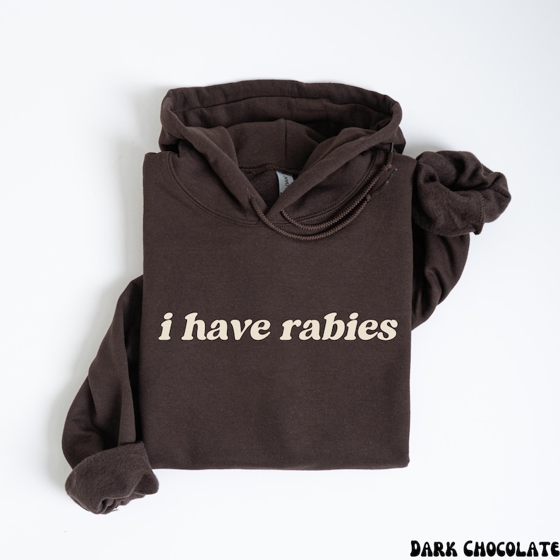 I Have Rabies Funny Hoodie, Unhinged Meme Sweatshirt, Grunge Y2k Clothing, Weird Dark Humor Tee, Sweatshirt Gift for Friend/ Sister image 2