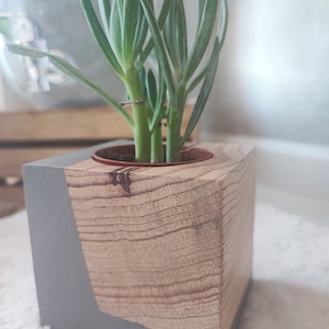 LovelyChocolateGray Handgefertigter Holzorganisator, hölzerner Pflanztopf, hölzerner Stifthalter, Holzhandwerk, Schnitzholz, Blumentopf, hölzerner Stifthalter