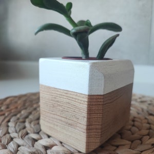 LovelyWhite Handgefertigter Holz-Organizer, hölzerner Pflanztopf, hölzerner Stifthalter, Holzhandwerk, Schnitzholz, Blumentopf, hölzerner Stifthalter