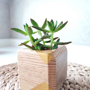 LovelyGold Handgefertigter Organizer aus Holz, Pflanztopf aus Holz, Stifthalter aus Holz, Holzhandwerk, Holzschnitzerei, Blumentopf, Stifthalter aus Holz