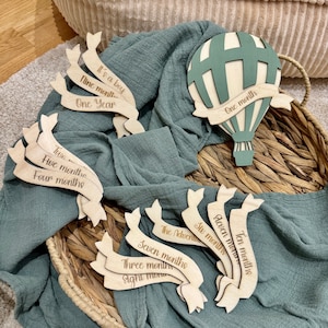 Panneaux de jalons pour bébé, statistiques de naissance de bébé, panneaux de jalons mensuels, panneaux de jalons gravés au laser, accessoires photo, kilométrage mensuel