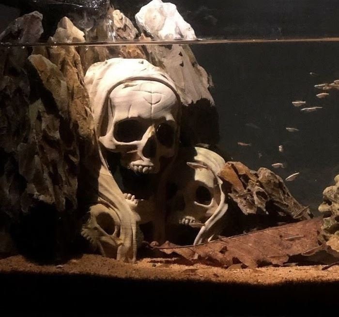 Schädel Haus Dekoration Skelett Deko Tischdekor Totenschädel Aquarium Figur  Kopf kaufen bei