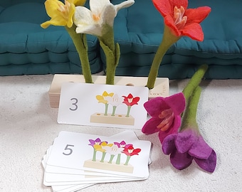 « Match & count » imprimable pour fleurs en feutre alignées - Activité Montessori de maternelle et de jardin d'enfants prolongée Lovevery
