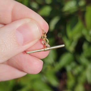 Könnte beinhalten: Ein kleiner, goldfarbener Knebelverschluss, gehalten vor einem verschwommenen grünen Hintergrund. Der Verschluss hat ein T-Stangen-Design mit einem kleinen Ring oben zur Befestigung. Das Metall scheint poliert zu sein und reflektiert das Licht.