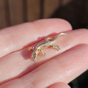 May include: A small, gold-colored lizard pendant. The detailed reptile charm features tiny legs, a long tail, and textured skin. The jewelry piece is likely a necklace charm or earring.