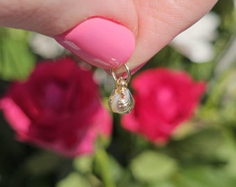 9ct Yellow Gold Pearl inside Clam Shell Charm - 9k Pendants