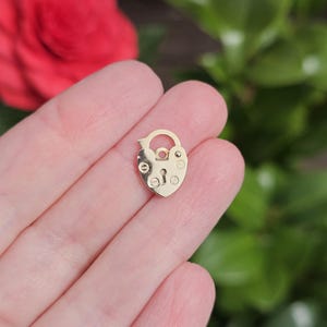 Puede incluir: Un pequeño dije de candado dorado en forma de corazón. El dije tiene un ojo de cerradura y está detallado con pequeños remaches. El fondo incluye una flor roja y follaje verde.