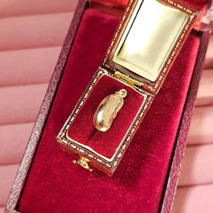 Puede incluir: Un colgante dorado en forma de judía, presentado en un joyero abierto de terciopelo rojo. La caja tiene un exterior de cuero marrón y un interior dorado. El colgante es pequeño y brillante, con un lazo para una cadena.