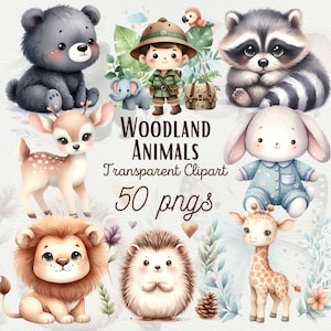 Animali del bosco Nursery Clipart Cute Acquerello Animali Clipart Forrest Animali Clipart Woodland Nursery Decor Animali PNG Uso commerciale