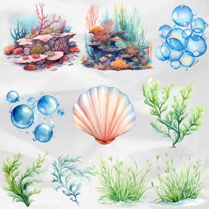 Infuse your nursery with marine charm using Watercolor Undersea Clipart – featuring cute ocean baby animals in PNG format. Perfect for decor, this collection includes jellyfish, seagrass, octopus, and turtles