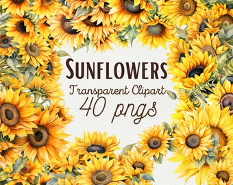 Watercolor Sunflower PNG Clipart Watercolor Floral Clipart Bouquet Sunflower Wreath PNG Clipart Sunflower Bouquet Clipart PNG Commercial Use