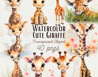 Watercolor Giraffe Clipart | 40 Cute Safari Animal Graphics (PNG, Commercial Use)