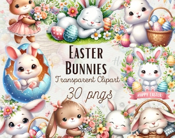 Aquarell Osterhase Clipart Kinderzimmer Ostern PNG Niedliche Hase Clipart Ostereier PNG Florale Hase Clipart Ostern Clipart PNG Kommerzielle Nutzung