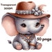 Cute Baby Elephant Clipart Floral Elephants PNG Baby Shower Rainbow ...