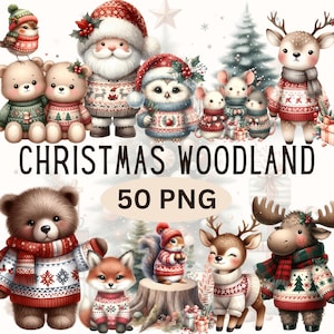 Christmas Woodland Animals Clipart Christmas Wonderland Clipart Bundle Watercolor Winter PNG Nursery Forest Friends Clipart Commercial Use