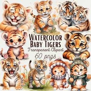 Mignon bébé tigre Clipart aquarelle bébé tigre PNG Aquarelle chambre d'animaux PNG Jungle oursons tigre bébé mignon animal de la jungle PNG usage commercial