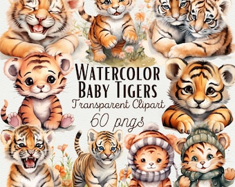 Watercolor Baby Tiger Clipart, Jungle Animal PNG (Commercial Use)