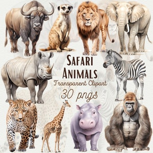 Aquarelle Safari Animaux Clipart Safari Bébés Animaux Jungle Animaux Clipart Animal Sauvage PNG Lion Clipart Zèbre PNG Girafe Clipart Graphiques