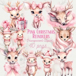 Cute pink Christmas Reindeer Clipart Pink Tis The Season Christmas PNG Reindeer Clipart Acquerello Winter Bundle Winter Clipart Sublimazione