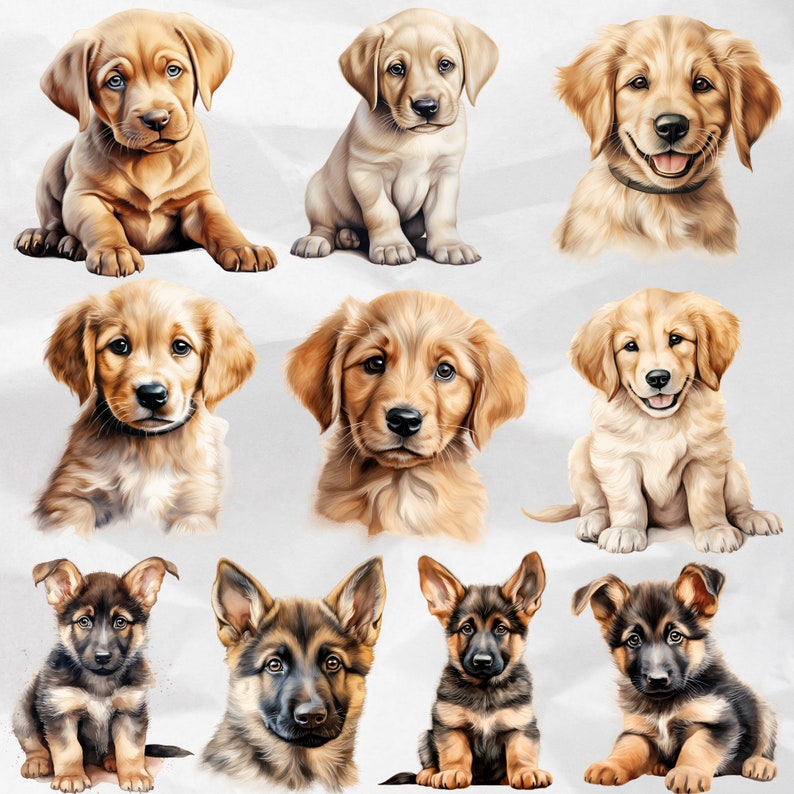 Puppy Love Unleashed - Watercolor Dog Illustrations in PNG Bundle. Cute Puppy Dogs Clipart Featuring Various Breeds. Perfect for Cute Animal Designs. Commercial Use