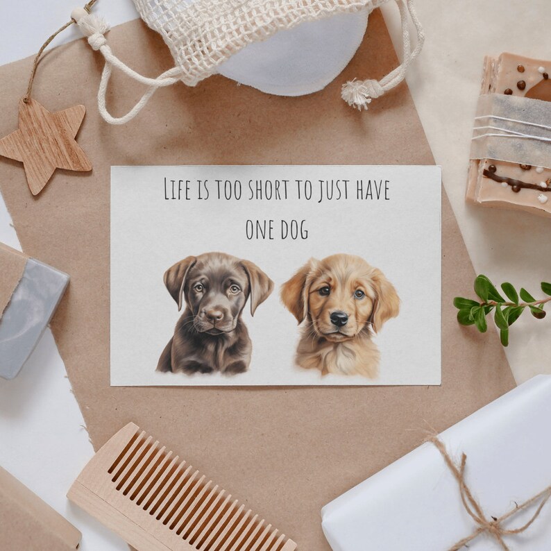Puppy Perfection in Clipart - Watercolor Dog Illustrations in PNG Bundle. Cute Dog Breeds Await in this Adorable Puppy PNG Bundle. Commercial Use Ready