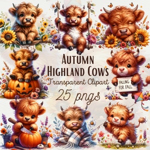 Cute Highland Cow Clipart Floral Highland Cows PNG Outono Flores Clipart Bebê Highland Cow Floral Fall Highland Cow Designs Uso Comercial