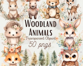 Boho Woodland Animals Clipart Cute Watercolor Animals Clipart Cute Bunny PNG Woodland Nursery Decor Cute Boho Bear Clipart Commercial Use