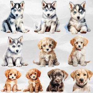 Cuteness Overload with Puppy Dogs Clipart - Watercolor Dog Illustrations in PNG Bundle. Explore Cute Dog Breeds with this Adorable Puppy PNG Bundle. Commercial Use